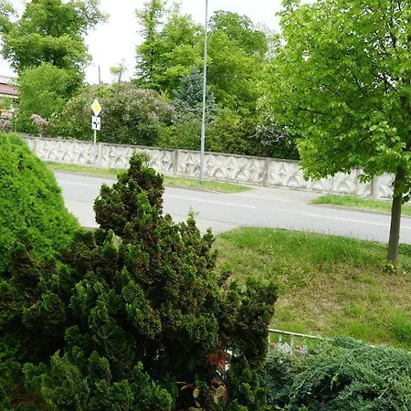 Dani * Bad Frankenhausen/Kyffhäuser