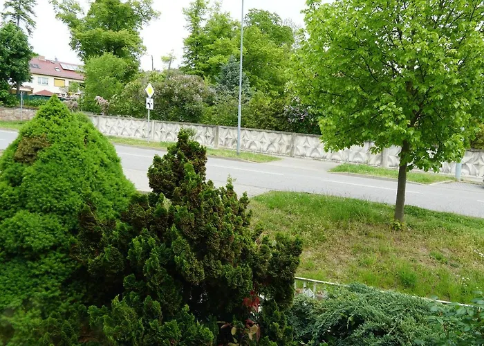 Dani * Bad Frankenhausen